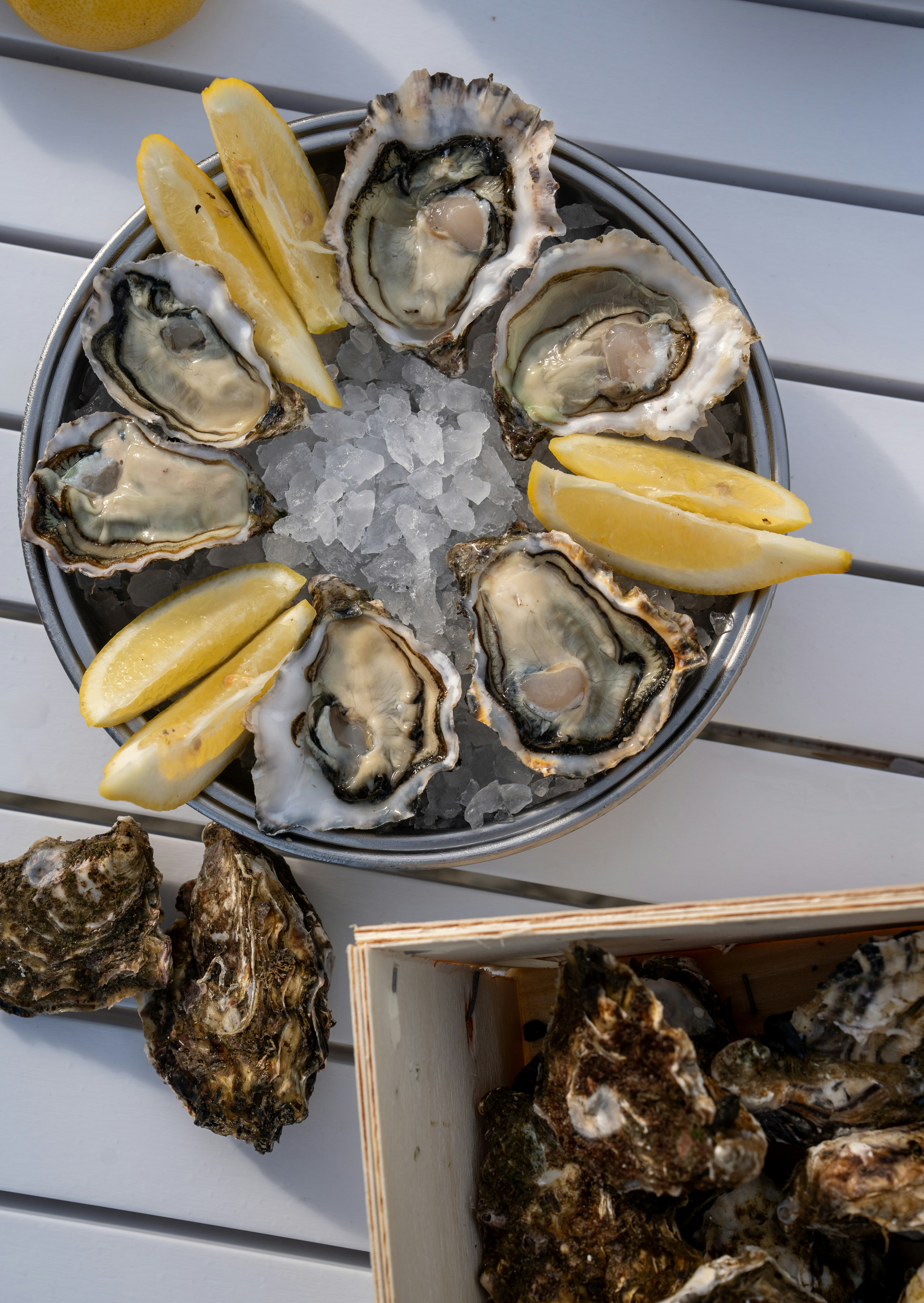 Oyster tasting in Mali Ston